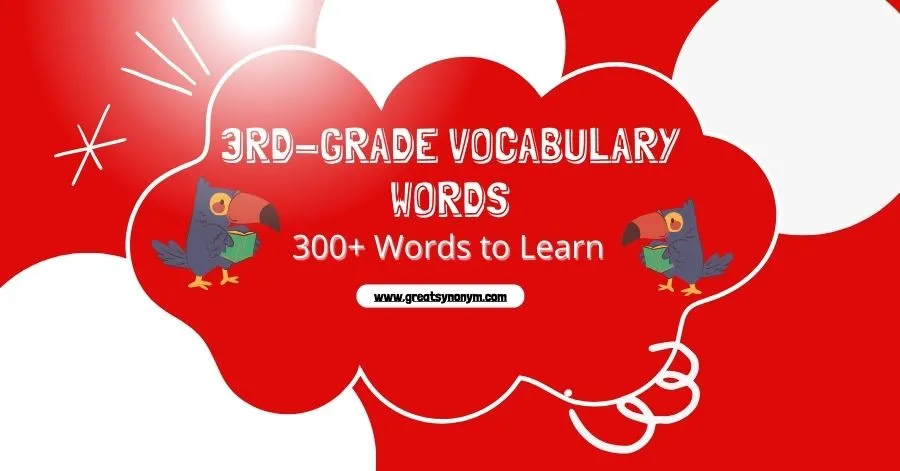 3rd grade vocabulary words